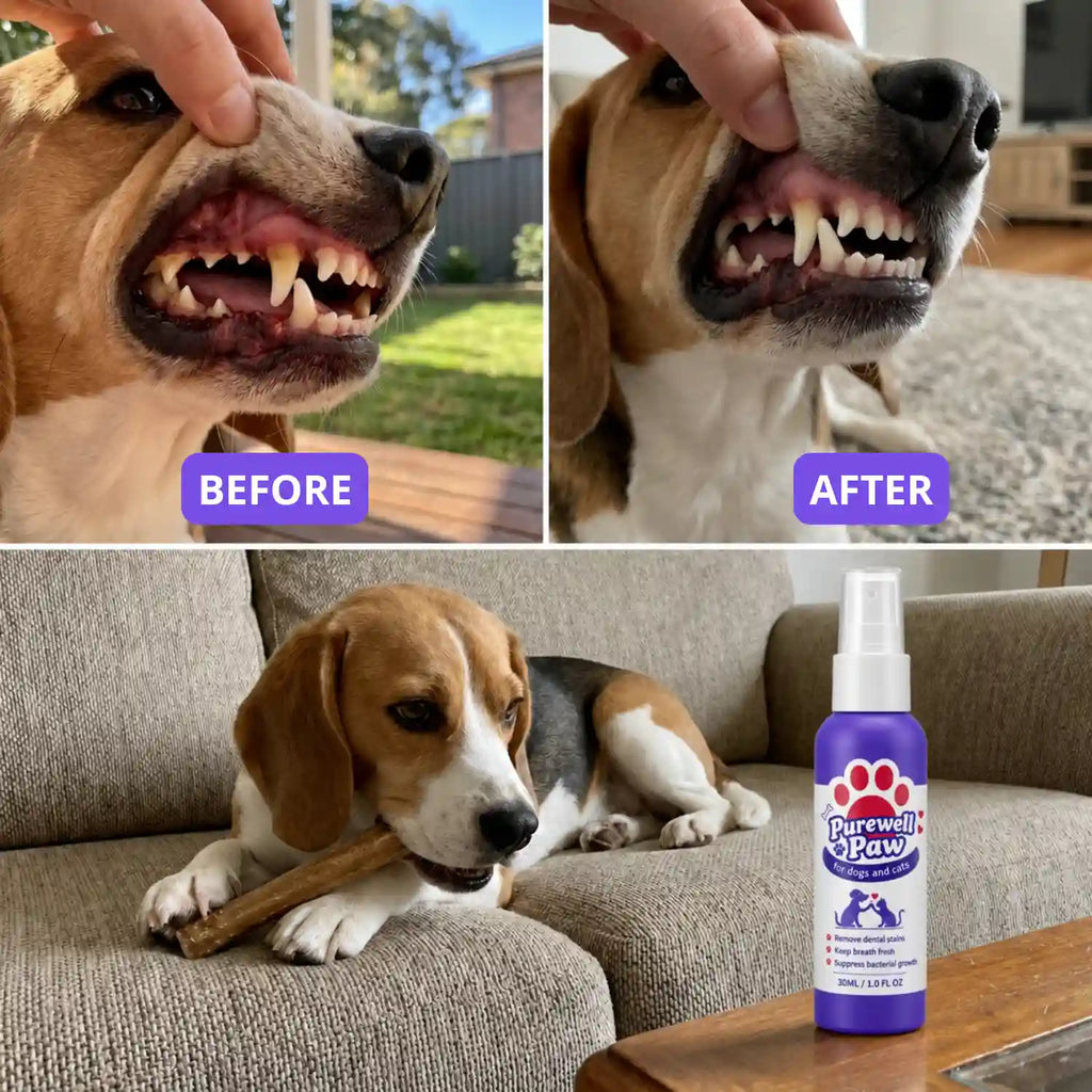 Dental Spray – Eliminates the bacteria causing tartar and bad breath in dogs