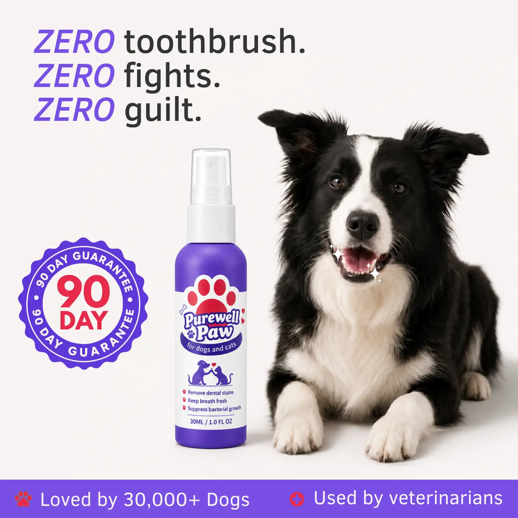 Dental Spray – Eliminates the bacteria causing tartar and bad breath in dogs