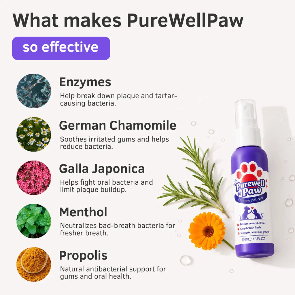 Dental Spray – Eliminates the bacteria causing tartar and bad breath in dogs