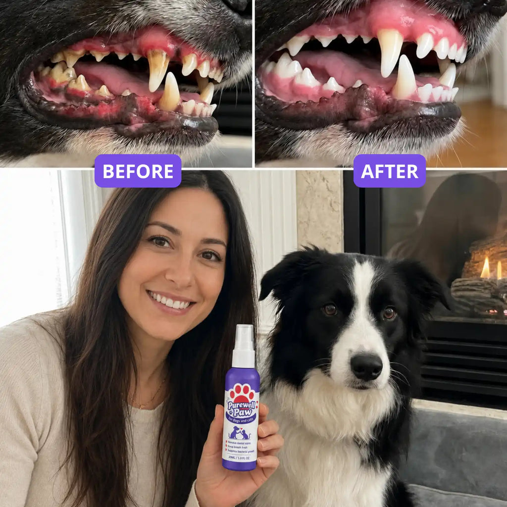 Dental Spray – Eliminates the bacteria causing tartar and bad breath in dogs