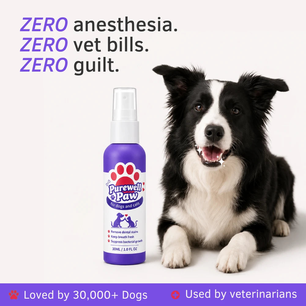 Enzymes Dental Spray – Eliminates the bacteria causing tartar, gingivitis and bad breath in dogs